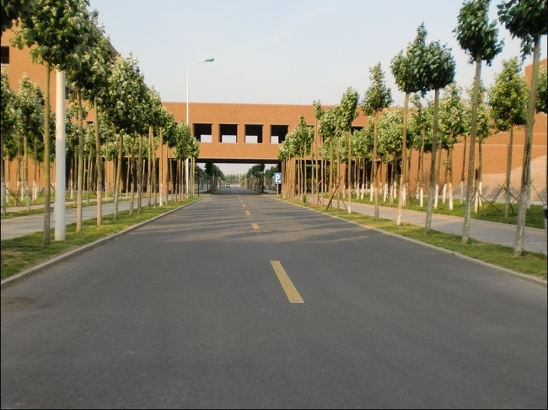 天津中德应用技术大学