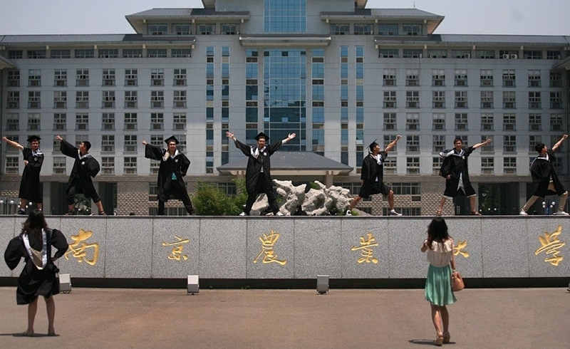 南京农业大学