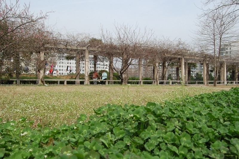 南京农业大学