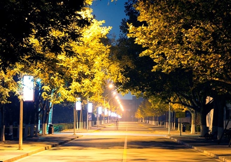 防灾科技学院