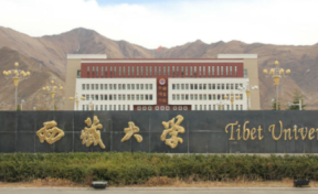 物化生可以报西藏大学吗？2024年高考能读42个专业