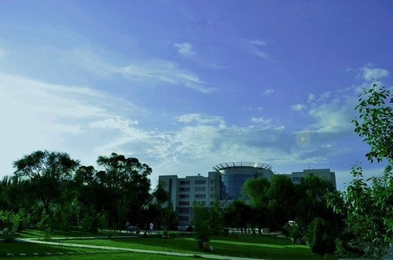青海大学全景图图片