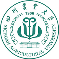 211大學最新排名一覽表（116所）